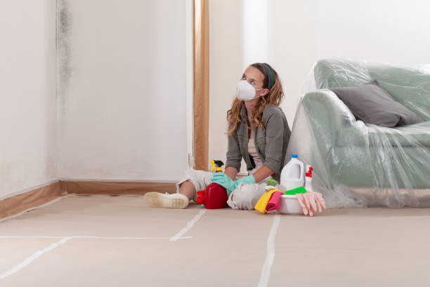 Reliable Mold Remediation contractor in Centreville, VA by Mold Remediation HQ